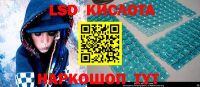 гашик Дмитров