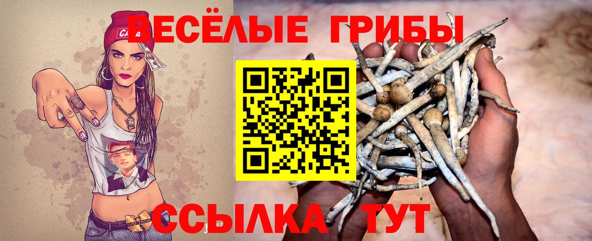 Галлюциногенные грибы MAGIC MUSHROOMS  Псилоцибиновые грибы мицелий  Саранск  Вход с VPN 
